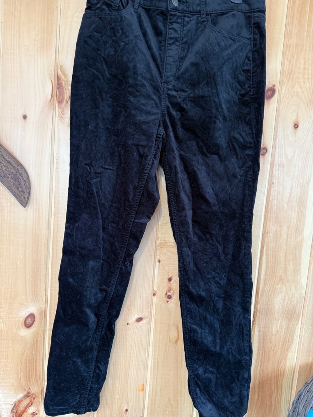 Loft pant